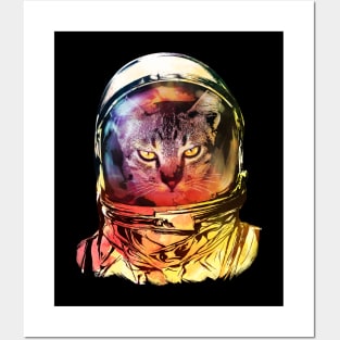 ASTRO CAT Posters and Art